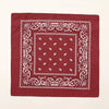 Tissu rouge profond avec des motifs de broderie paisley et géométriques blancs.